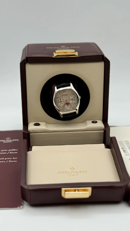 Patek Philippe 5040 Platinum 5040Pt 2
