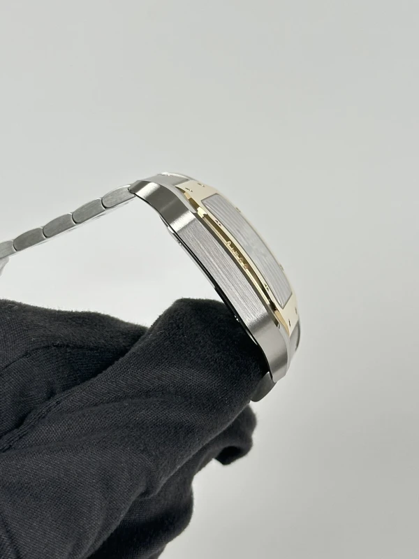 Cartier W2SA0009 4