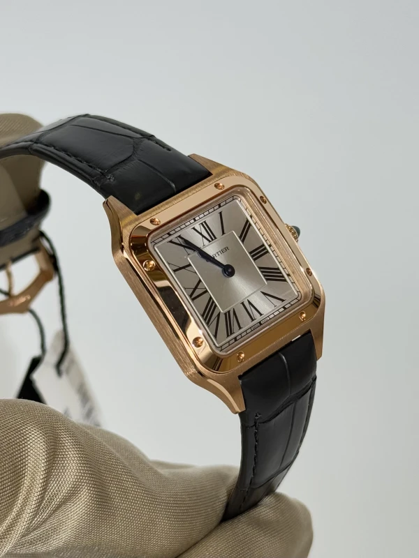 Cartier WGSA0117 3