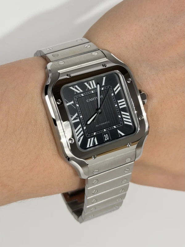 Cartier WSSA0096 5