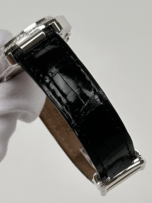 Cartier WJ108251 7