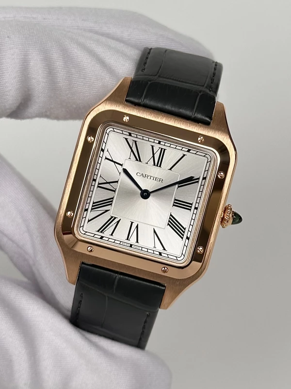 Cartier WGSA0032 4