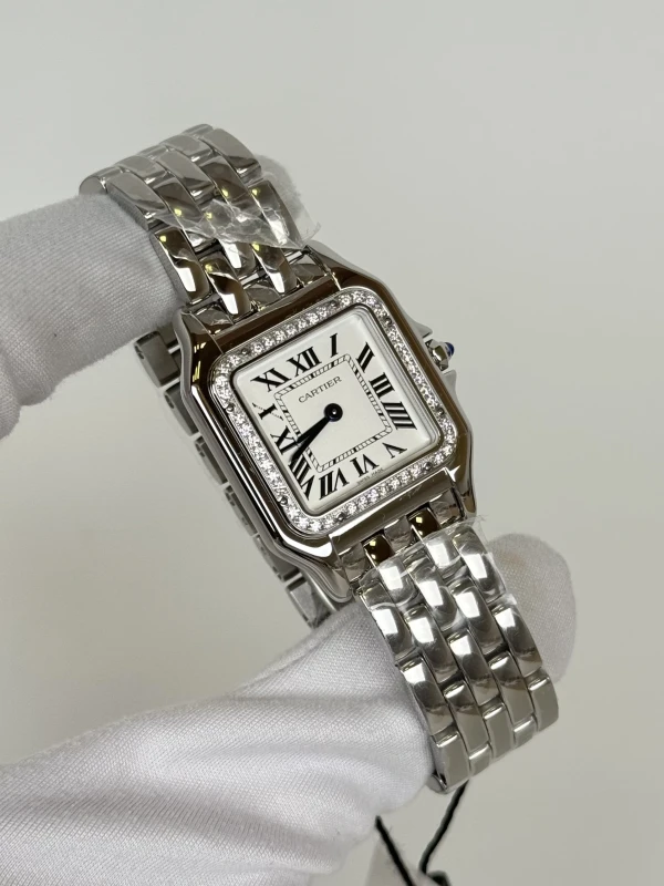 Cartier Medium model W4PN0018 2