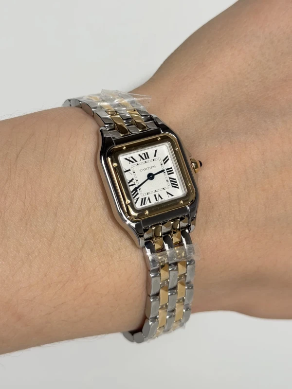 Cartier DE CARTIER W2PN0018 4