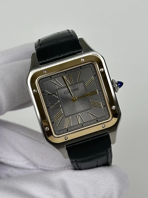Cartier W2SA0028 3