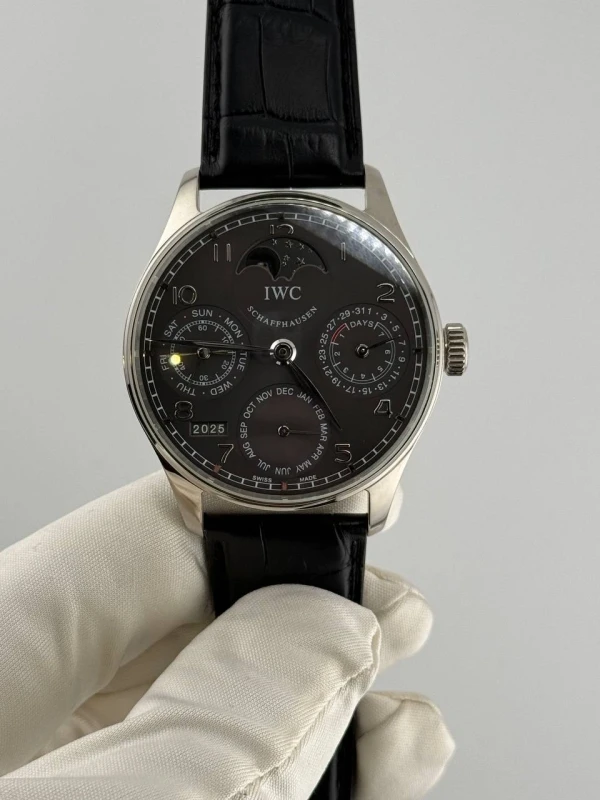 IWC IW502218 5