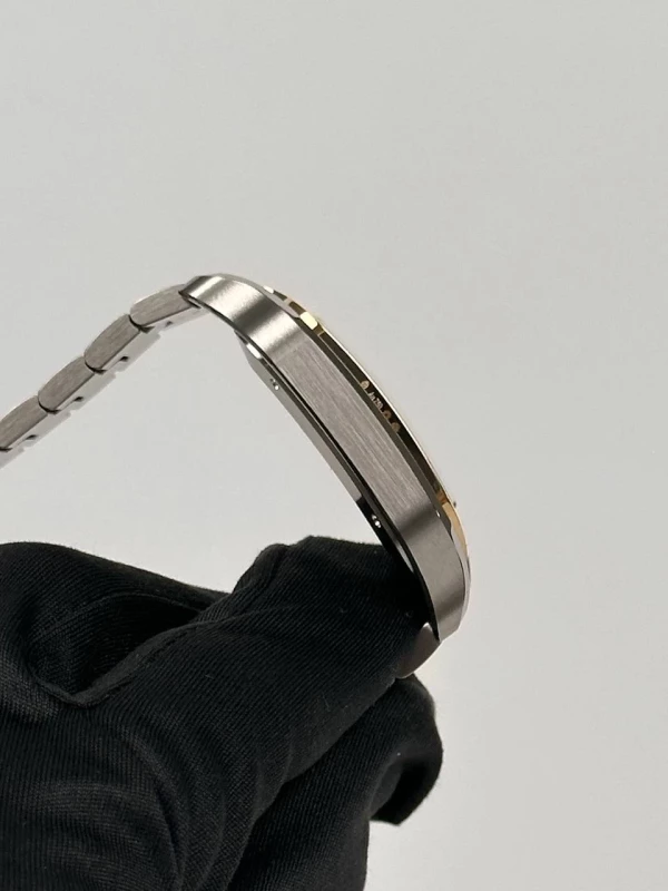 Cartier Large W2SA0030 4