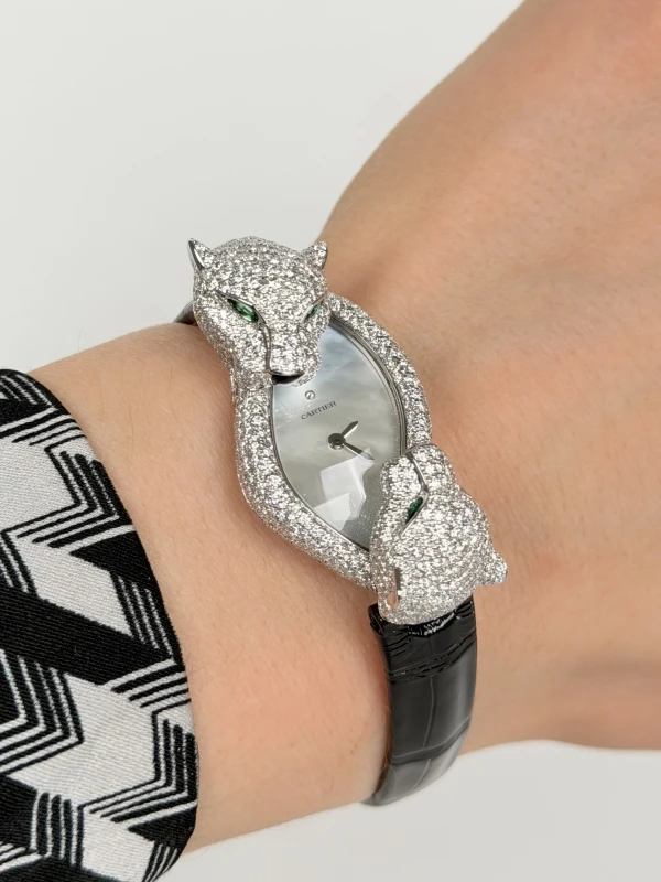 Cartier Panthère Crash HPI01758 8