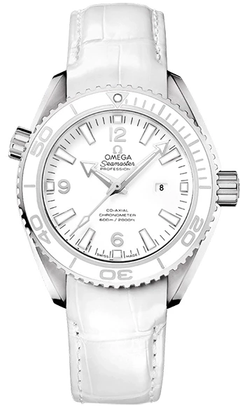 Planet Ocean 600 M Omega Co-Axial 37.5 mm