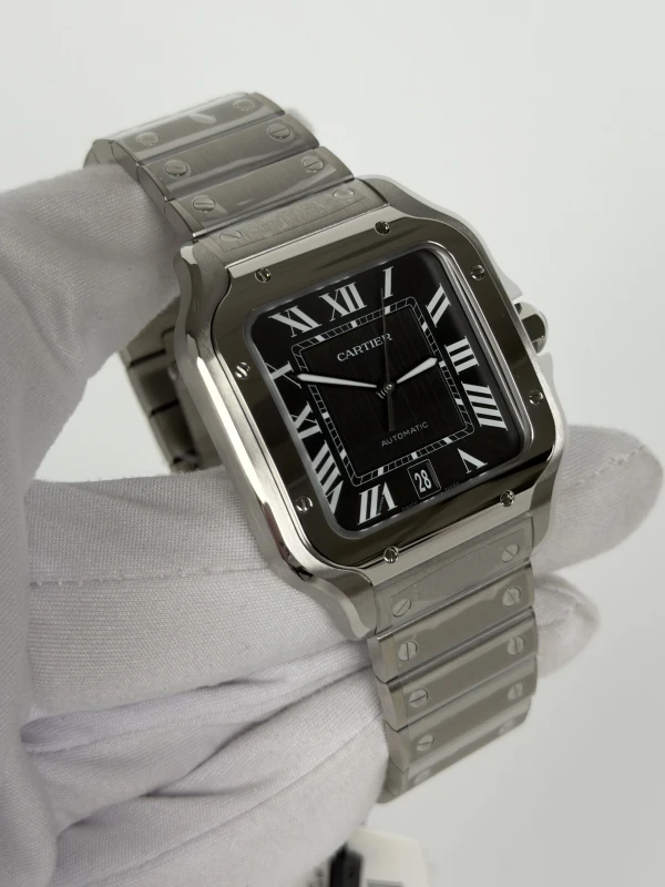 Cartier WSSA0096 2