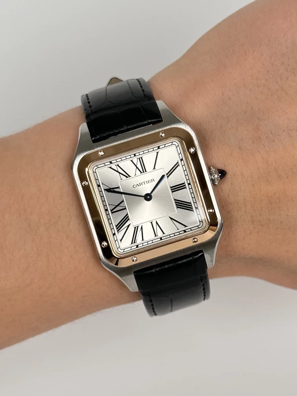 Cartier 38 mm W2SA0017 9