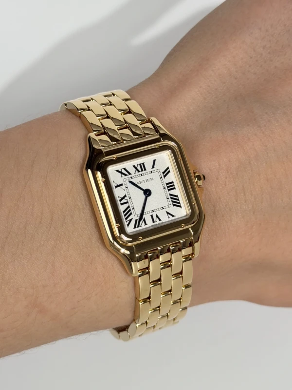 Cartier de Cartier Medium WGPN0058 5