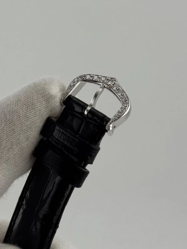 Cartier WJ306014 9
