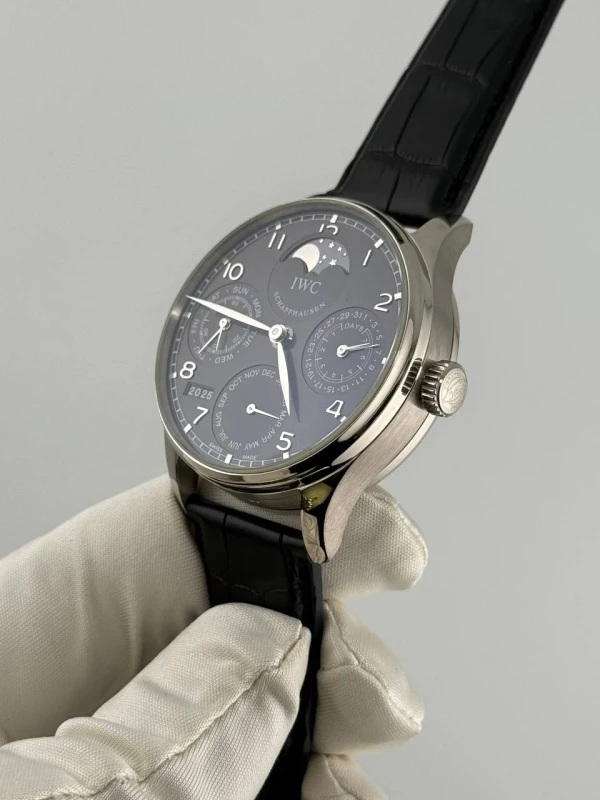 IWC IW502218 2