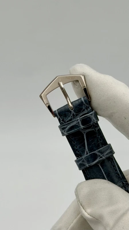 Patek Philippe Cloisonne Phare Jument 5089G-120 5