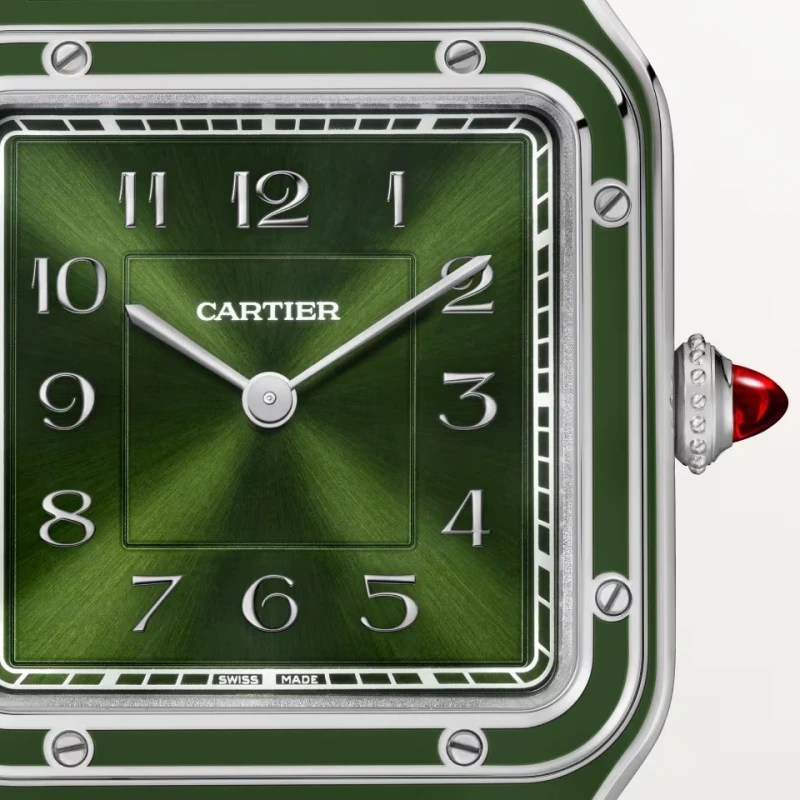 Cartier WGSA0096 2