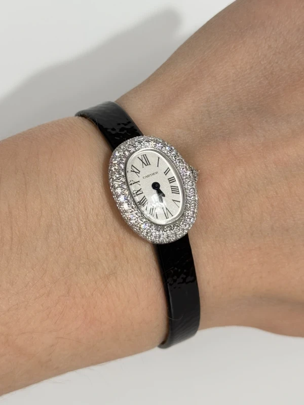 Cartier WJBA0050 7