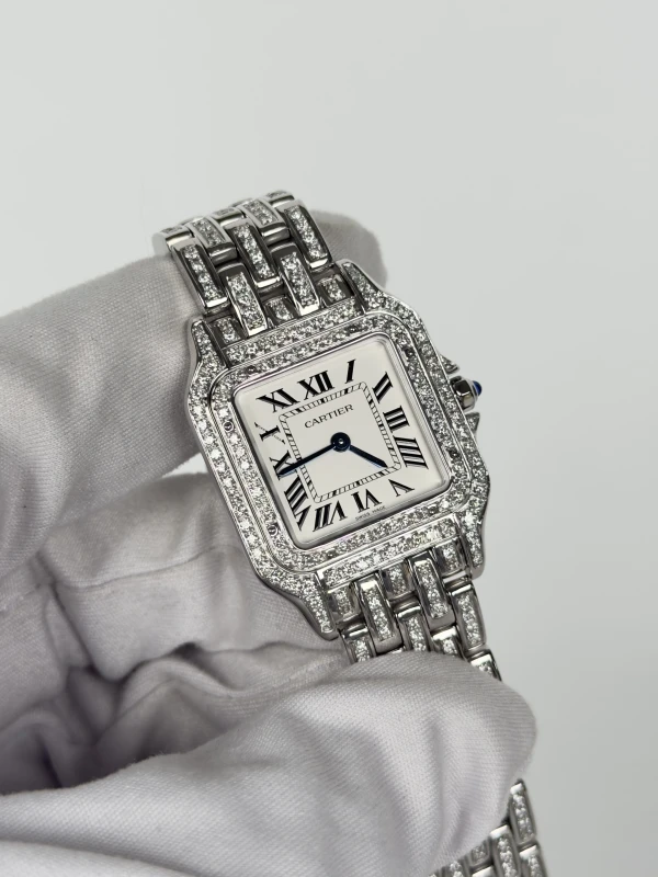 Cartier de Cartier WSPN0015FIX 3