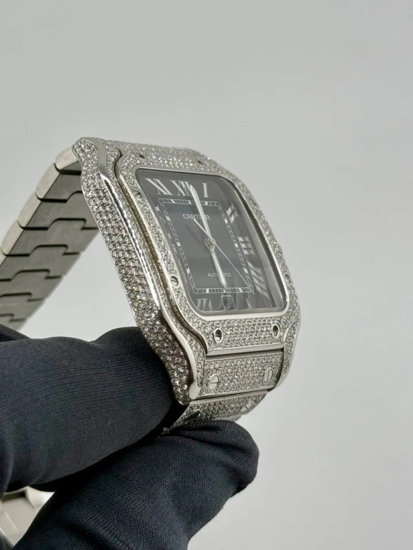 Cartier WSSA0030 9