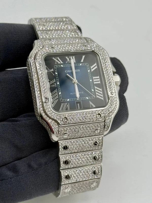 Cartier WSSA0030 5