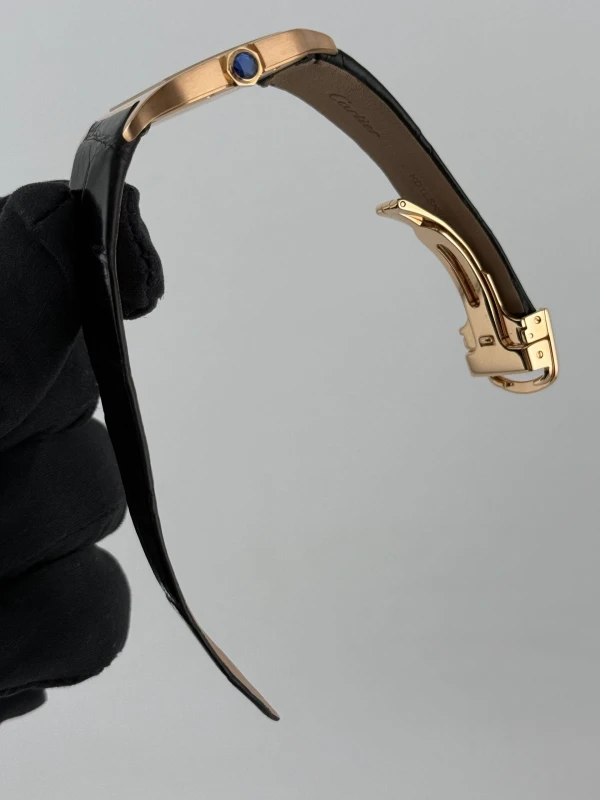 Cartier Dumont Small W2009251 2788 7