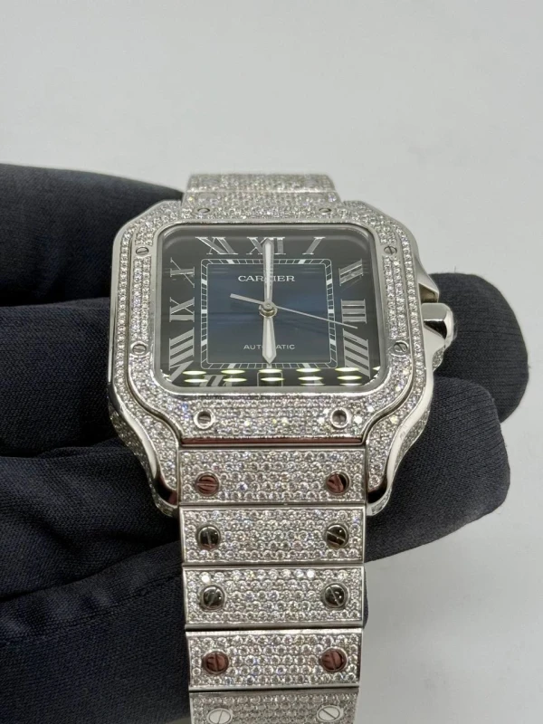 Cartier WSSA0030 7