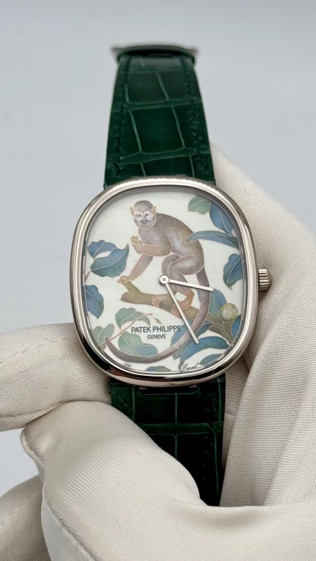 Patek Philippe Monkey 5738/50G-014 4