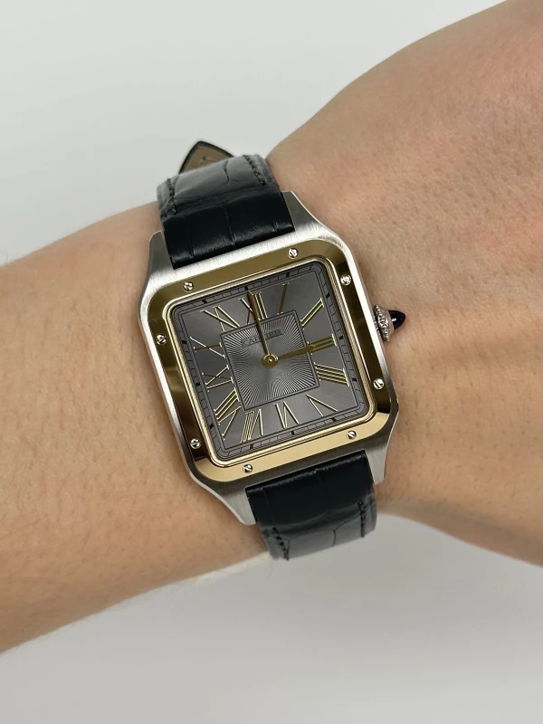 Cartier W2SA0028 9