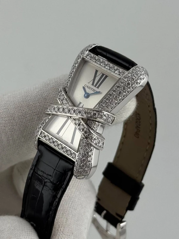 Cartier WJ306014 5