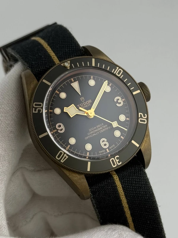 Tudor BAY BRONZE M79250BA-0001 3