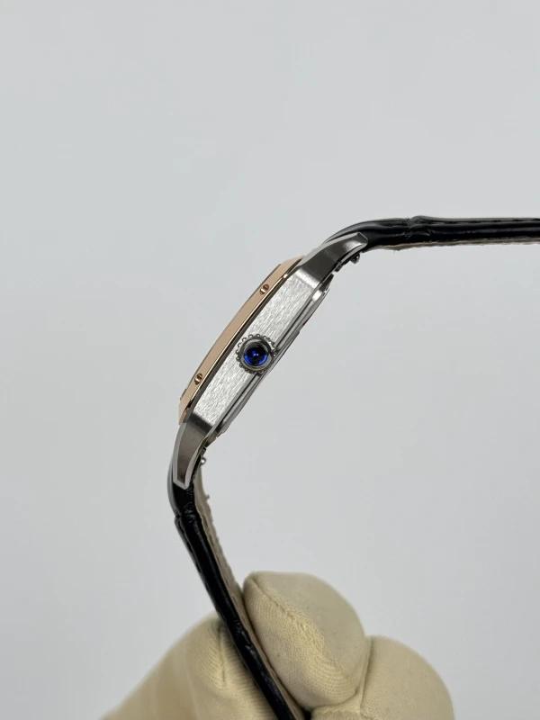 Cartier W2SA0012 6
