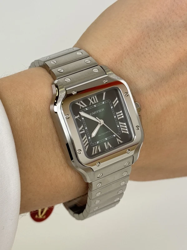 Cartier WSSA0061 6