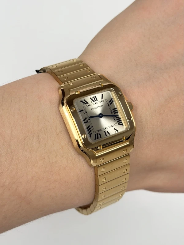 Cartier WGSA0107 4