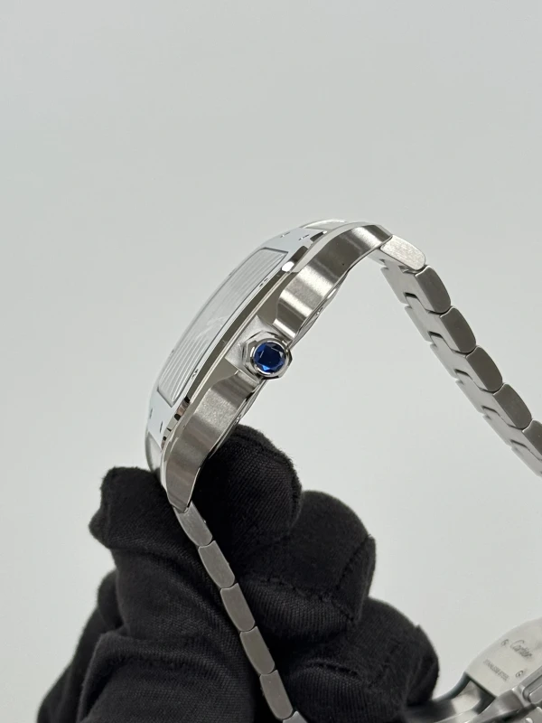 Cartier WSSA0030 4