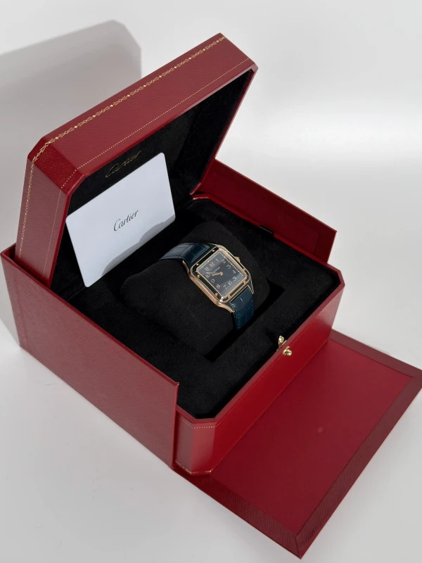 Cartier WGSA0098 9