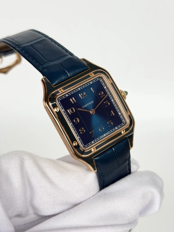 Cartier WGSA0098 2