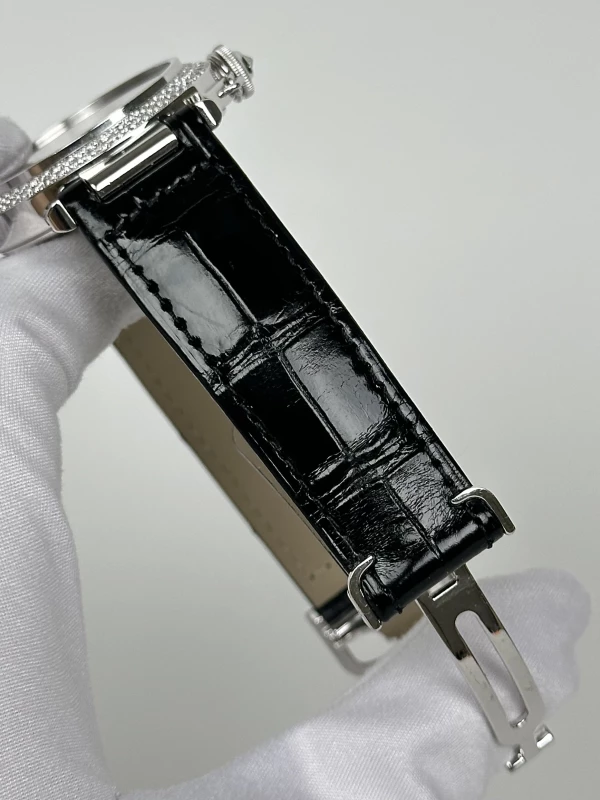 Cartier LIMITED EDITION AUTOMATIC CLOISONNÉ ENAMEL 2495 7