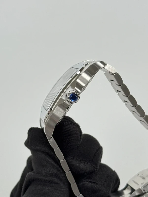 Cartier WSSA0030 5