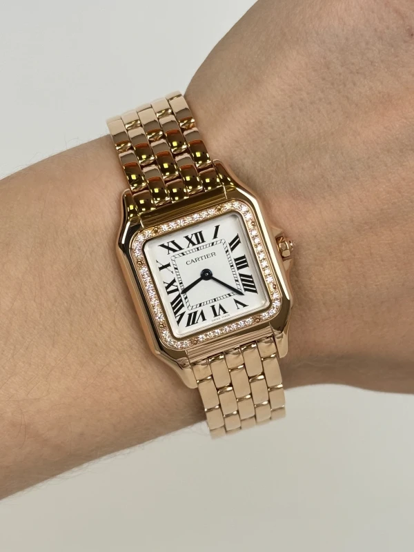 Cartier PANTHÈRE DE CARTIER WJPN0088 6