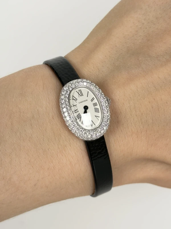 Cartier WJBA0050 7