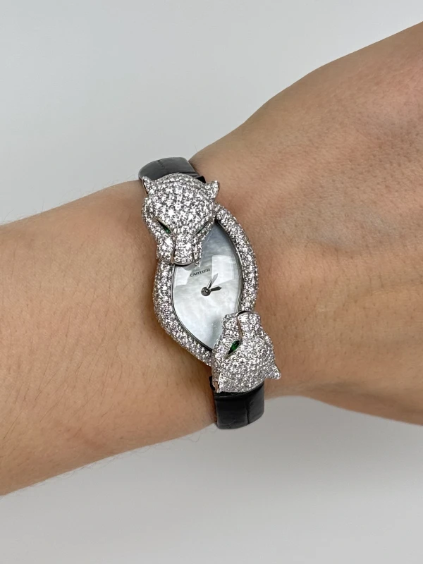 Cartier Panthère Crash HPI01758 8