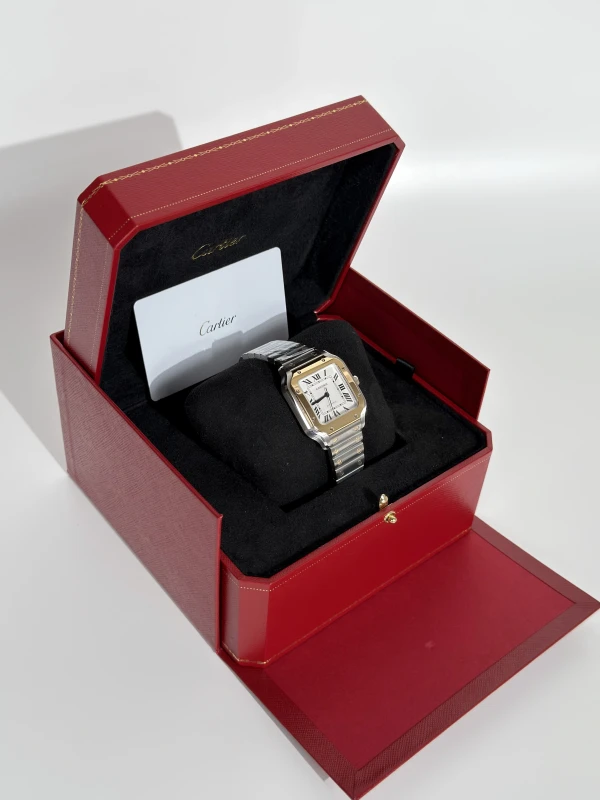 Cartier W2SA0016 5