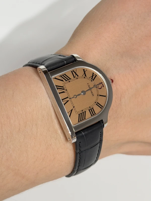 Cartier RELOJ ESQUELETO CLOCHE DE CARTIER WHCC0009 7