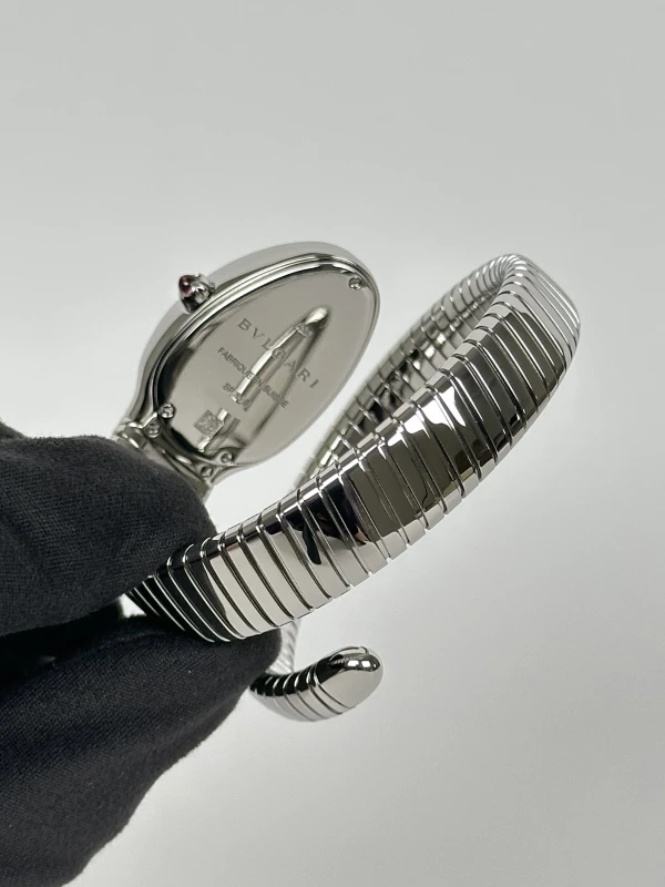 Bvlgari Serpenti Silver Dial 101827 5