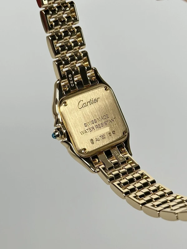 Cartier PANTHÈRE DE CARTIER WGPN0031 6