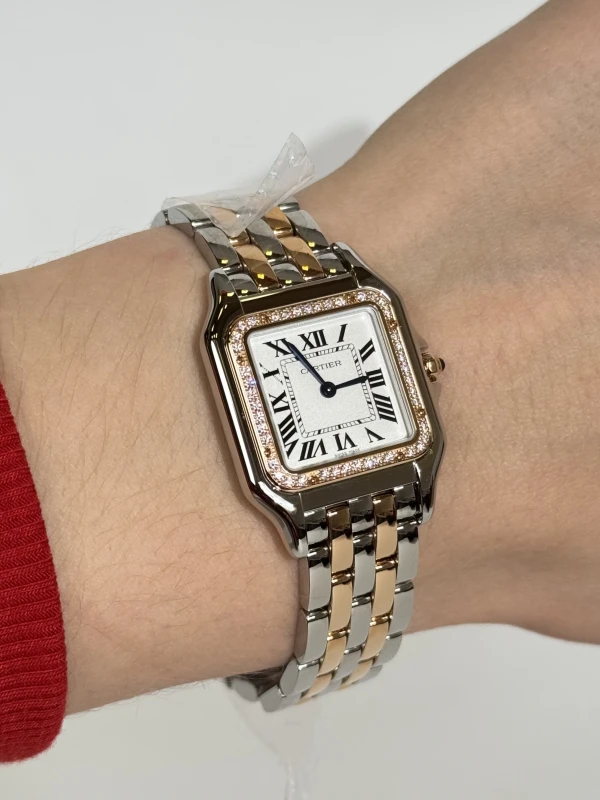 Cartier PANTHÈRE DE CARTIER W3PN0015 5
