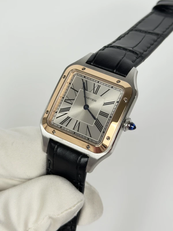 Cartier W2SA0011 3