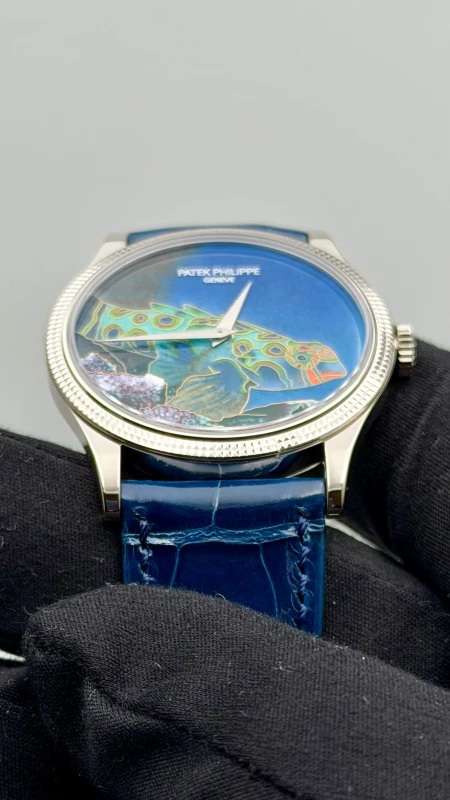 Patek Philippe 5177G-013 4