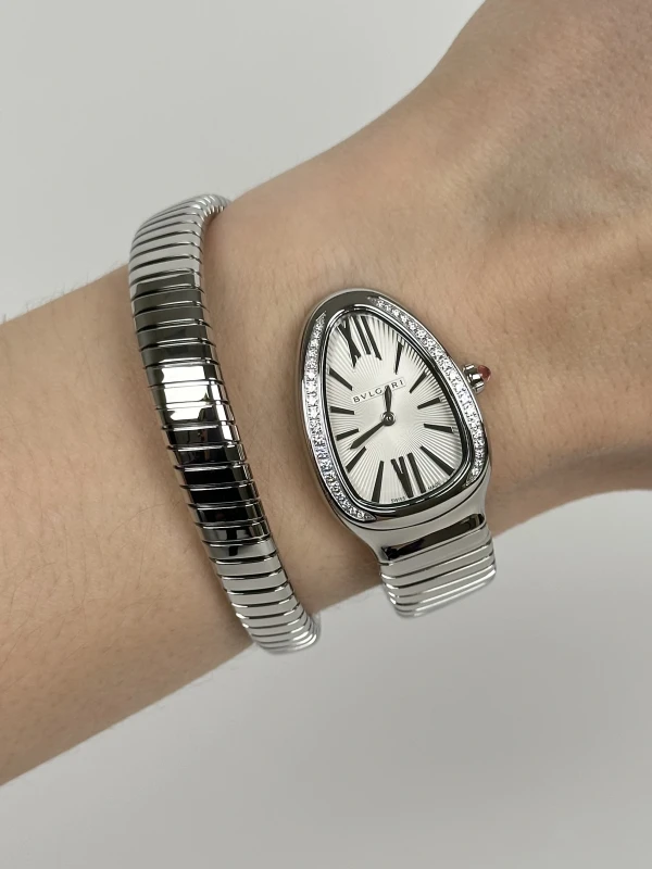 Bvlgari Serpenti Silver Dial 101827 6