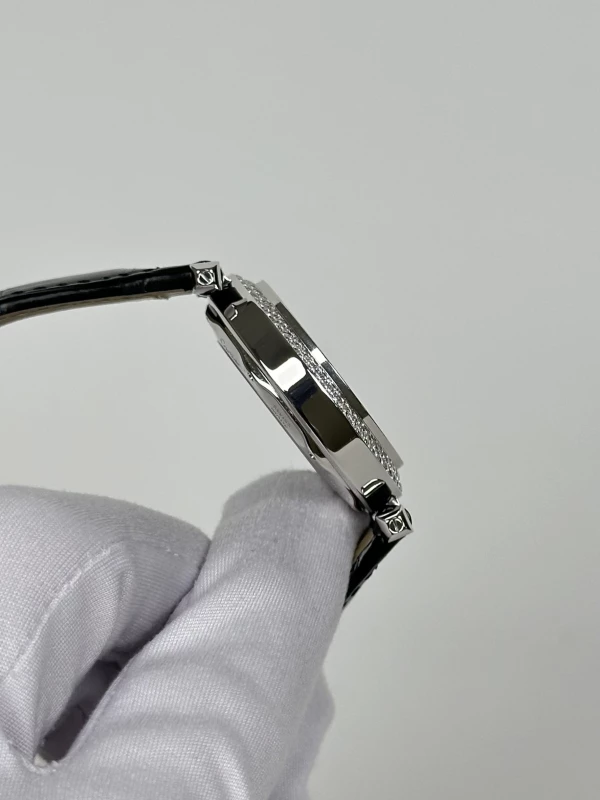 Cartier LIMITED EDITION AUTOMATIC CLOISONNÉ ENAMEL 2495 5